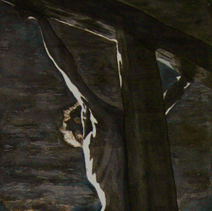 image 27