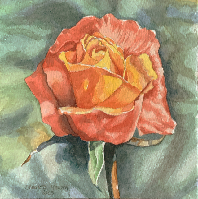 image 36